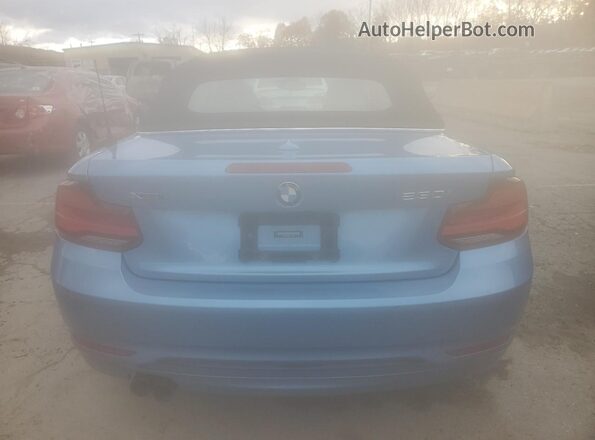 WBA2K1C03L7E59684 2020 BMW 2 SERIES Blue Հետևի տեսք