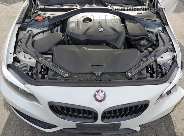 WBA2M7C0XL7E96342 2020 BMW 2 SERIES Белый Вид задней части салона
