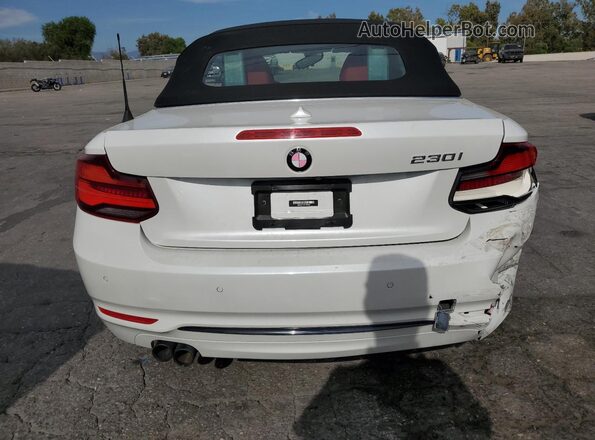 WBA2M7C0XL7E96342 2020 BMW 2 SERIES Белый Вид сзади