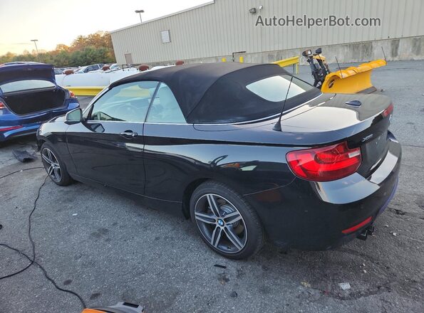 WBA2M9C34HV985647 2017 BMW 2 SERIES Черный Задняя левая четверть