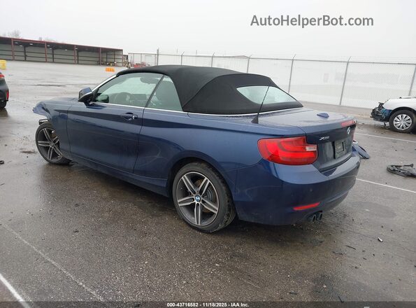 WBA2M9C3XHV717556 2017 BMW 2 SERIES Blue უკანა მარცხენა