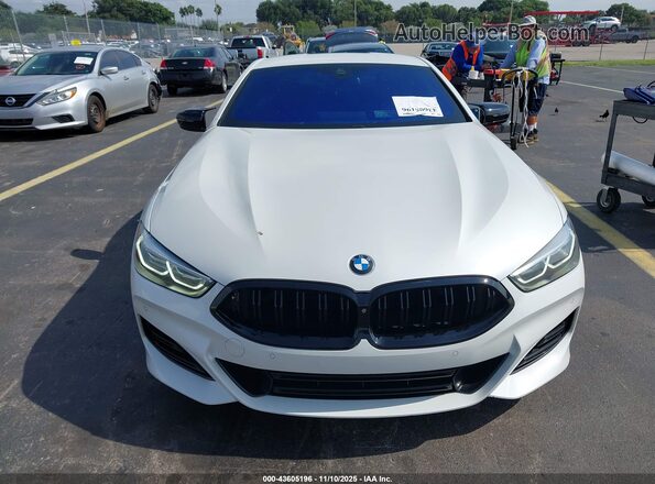 WBAAE2C04PCK62025 2023 BMW 8 SERIES White Вид щитка приладів
