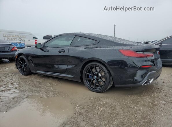 WBAAE2C09RCN70245 2024 BMW 8 SERIES Black Հետևի ձախ