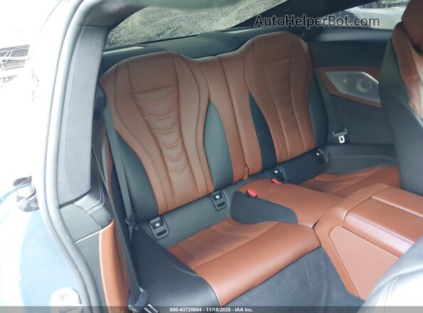 WBABC4C52KBU95952 2019 BMW M8 Blue VIN sticker view