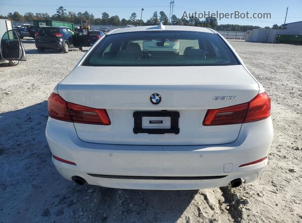 WBAJR3C04LWW65621 2020 BMW 5 SERIES White უკანა ხედი