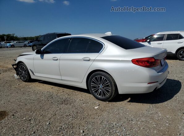 WBAJR3C0XLCE00058 2020 BMW 5 SERIES White Հետևի ձախ