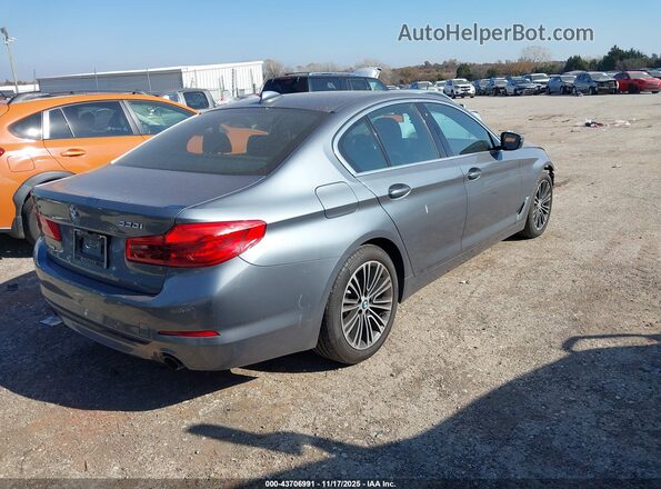 WBAJR7C03LWW70008 2020 BMW 5 SERIES Gray უკანა მარჯვენა