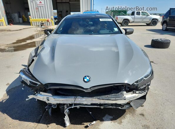 WBSGV0C01MCF81438 2021 BMW M8 Silver Vista frontal