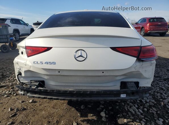 WDD2J5JB8KA031227 2019 MERCEDES-BENZ CLS-CLASS Белый Вид сзади