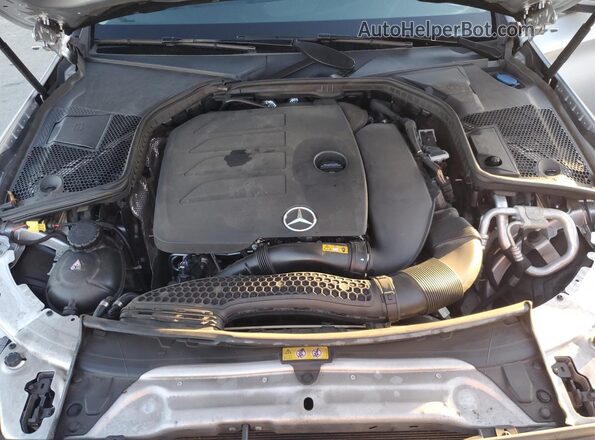 WDDWF8DB6LR533057 2020 MERCEDES-BENZ C Silver Vista interior trasera