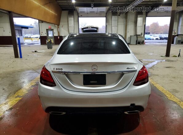 WDDWF8EB7LR552005 2020 MERCEDES-BENZ C Silver Rear view