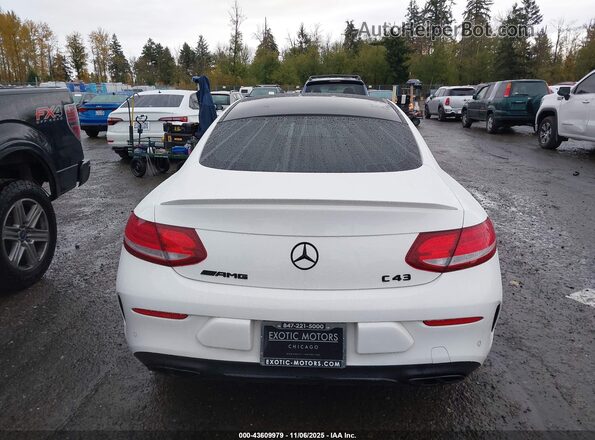 WDDWJ6EB2HF452194 2017 MERCEDES-BENZ AMG C 43 Белый 