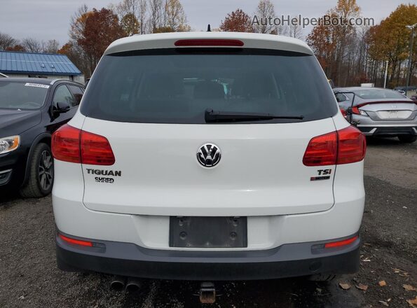 WVGSV7AX4HK028068 2017 VOLKSWAGEN TIGUAN White Հետևի տեսք