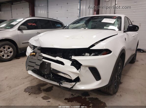 ZACNDFAN8P3A03117 2023 DODGE OTHER White Դիմացի տեսք