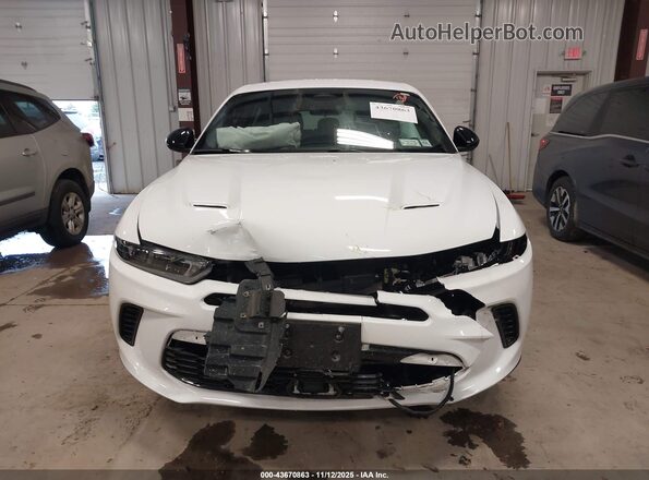 ZACNDFAN8P3A03117 2023 DODGE OTHER White Սարքավորումների վահանակի տեսք