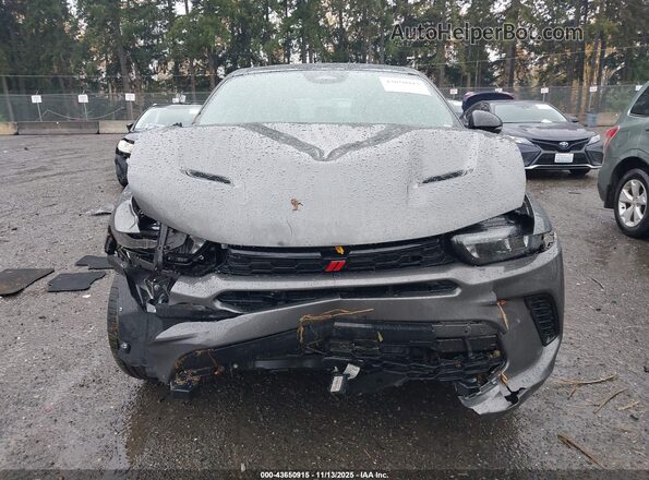 ZACPDFDW5R3A27259 2024 DODGE OTHER Gray Vista interior trasera