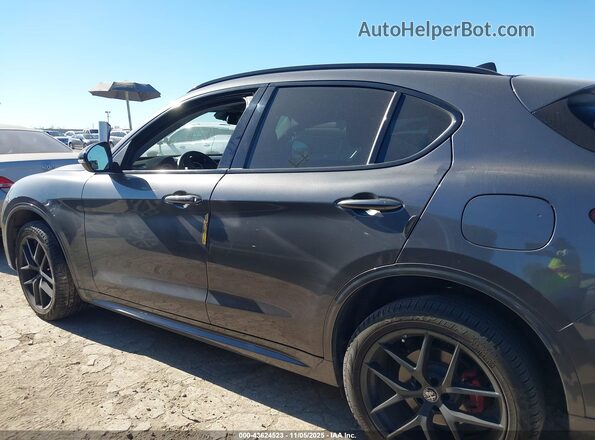 ZASPAJAN2L7C73200 2020 ALFA ROMEO STELVIO Gray Панорамний вид салону 360°
