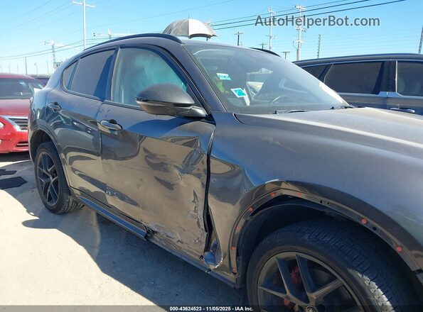 ZASPAJAN2L7C73200 2020 ALFA ROMEO STELVIO Gray Вид задньої частини салону