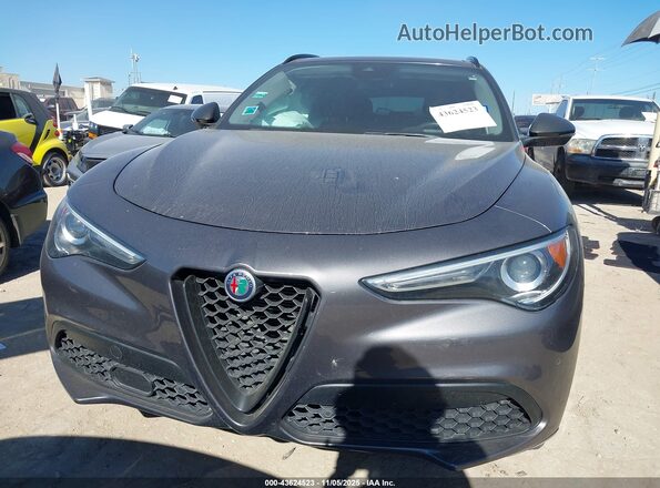 ZASPAJAN2L7C73200 2020 ALFA ROMEO STELVIO Gray Вид щитка приладів