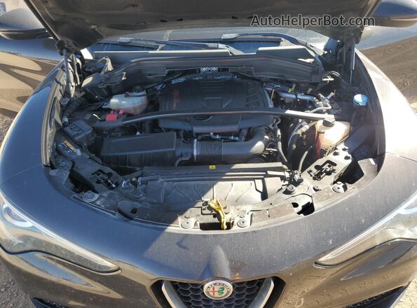 ZASPAJAN4K7C71737 2019 ALFA ROMEO STELVIO Коричневый Вид подкапотного пространства