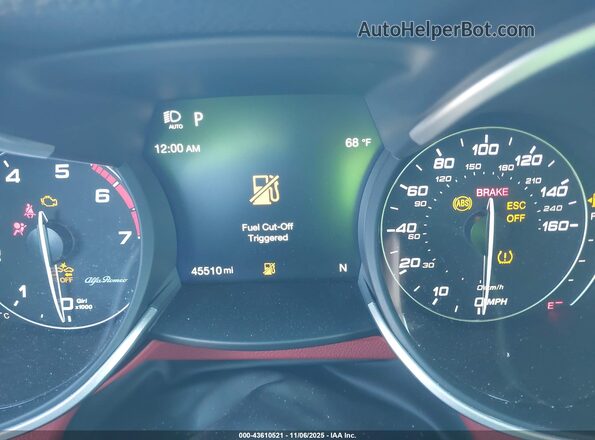ZASPAJAN8M7D12079 2021 ALFA ROMEO STELVIO Серый Вид задних сидений