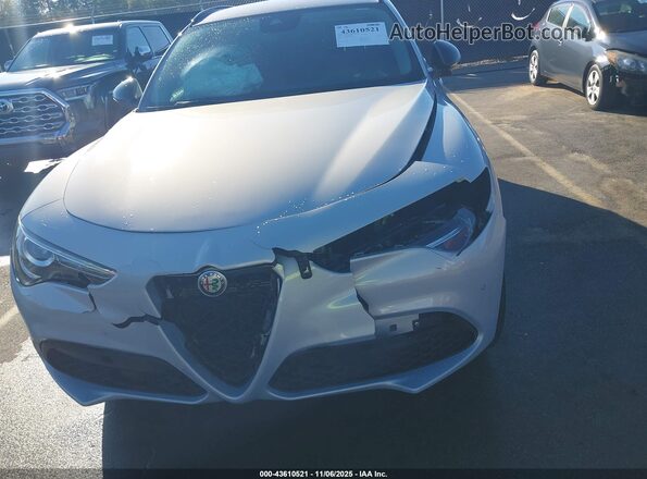 ZASPAJAN8M7D12079 2021 ALFA ROMEO STELVIO Серый Вид спереди