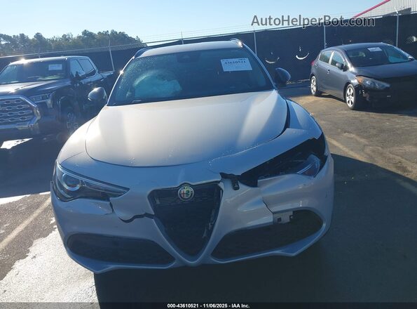 ZASPAJAN8M7D12079 2021 ALFA ROMEO STELVIO Серый Вид щитка приборов