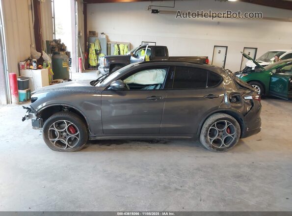 ZASPAKAN9L7C84748 2020 ALFA ROMEO STELVIO Gray 