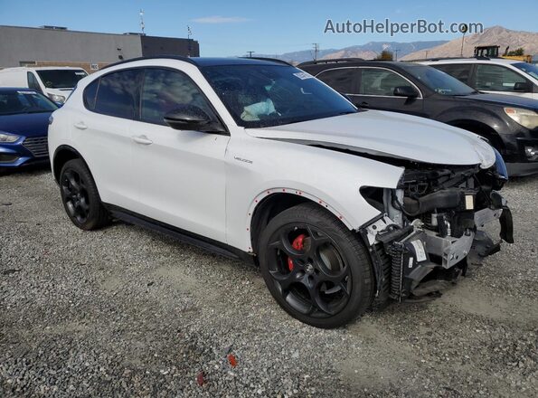 ZASPAKBN3R7D78793 2024 ALFA ROMEO STELVIO White Առջևի աջ