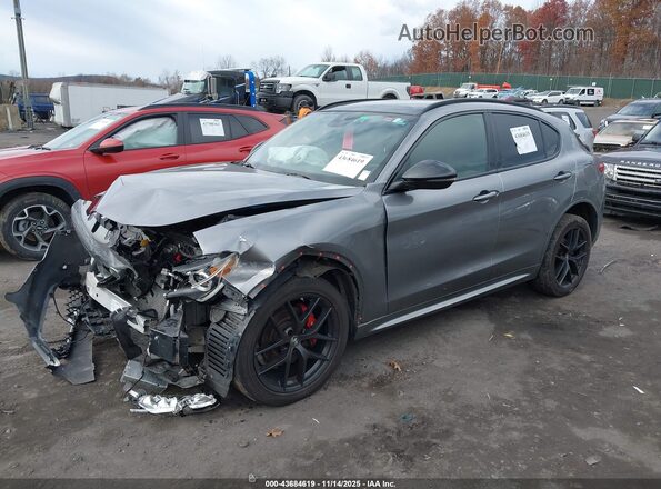 ZASPAKBN6L7C76816 2020 ALFA ROMEO STELVIO Gray Передня ліва чверть