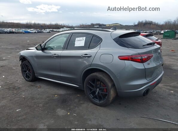 ZASPAKBN6L7C76816 2020 ALFA ROMEO STELVIO Gray Задня ліва чверть