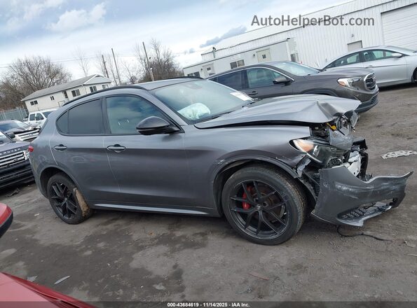 ZASPAKBN6L7C76816 2020 ALFA ROMEO STELVIO Gray Вид задньої частини салону