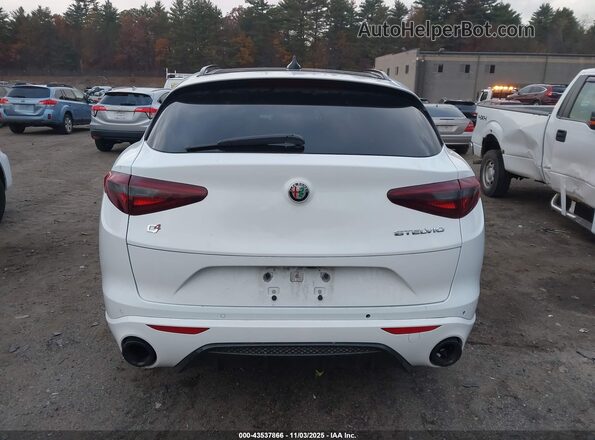 ZASPAKBN7P7D67275 2023 ALFA ROMEO STELVIO White 