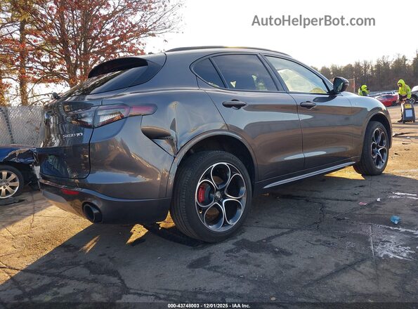ZASPAKBN7R7D70406 2024 ALFA ROMEO STELVIO Gray Tył prawy