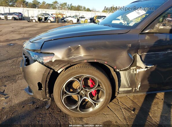 ZASPAKBN7R7D70406 2024 ALFA ROMEO STELVIO Gray Widok z przodu