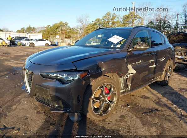 ZASPAKBN7R7D70406 2024 ALFA ROMEO STELVIO Gray Przód lewy