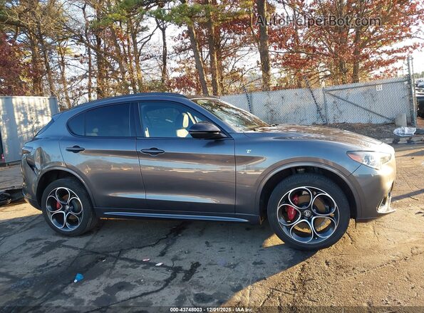 ZASPAKBN7R7D70406 2024 ALFA ROMEO STELVIO Gray Widok wnętrza z tyłu