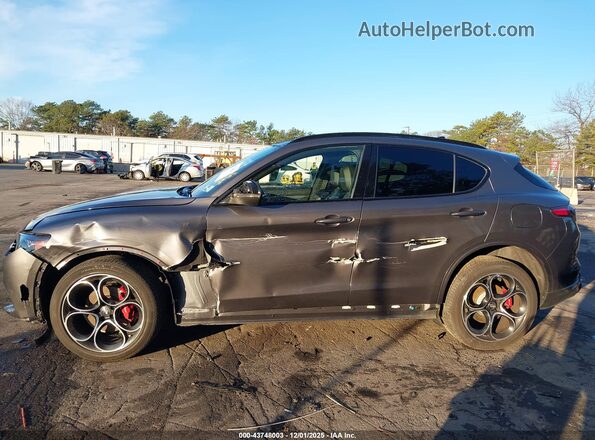 ZASPAKBN7R7D70406 2024 ALFA ROMEO STELVIO Gray Widok wnętrza 360 stopni