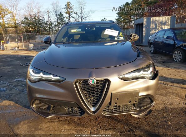 ZASPAKBN7R7D70406 2024 ALFA ROMEO STELVIO Gray Widok zestawu wskaźników