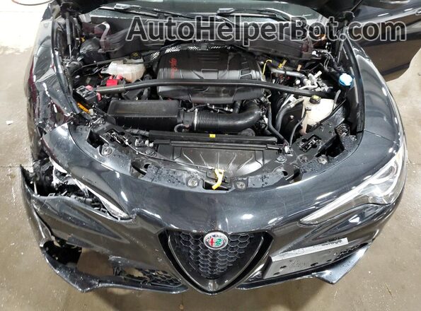 ZASPAKBN9M7D12287 2021 ALFA ROMEO STELVIO Black Widok komory silnika