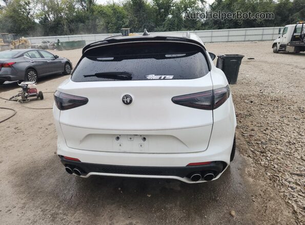 ZASPAKEV8L7C95458 2020 ALFA ROMEO STELVIO White უკანა ხედი