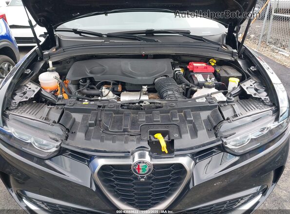 ZASPATCW2R3038911 2024 ALFA ROMEO OTHER Black Widok z tyłu