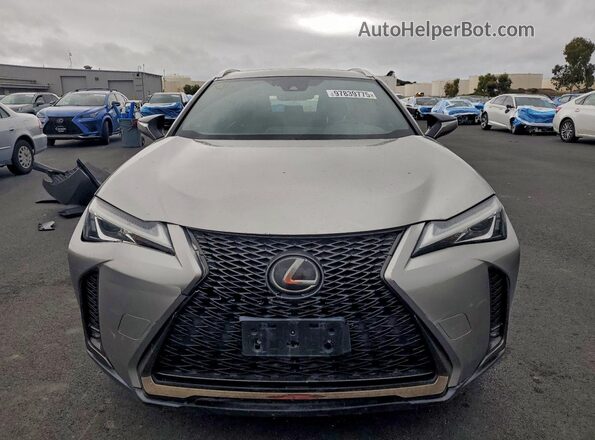 JTHY3JBH1K2000484 2019 LEXUS UX 200 Gray Вид ззаду