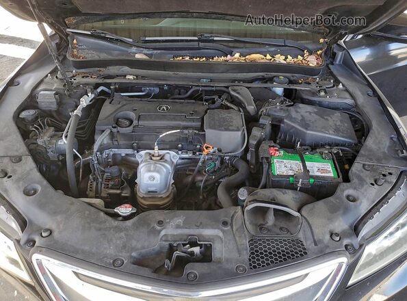 19UUB1F32GA003765 2016 ACURA TLX Черный Вид задней части салона