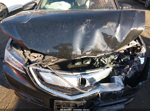 19UUB1F55GA007293 2016 ACURA TLX Black Vista trasera