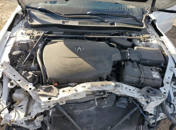19UUB2F3XGA002269 2016 ACURA TLX Белый Вид задней части салона