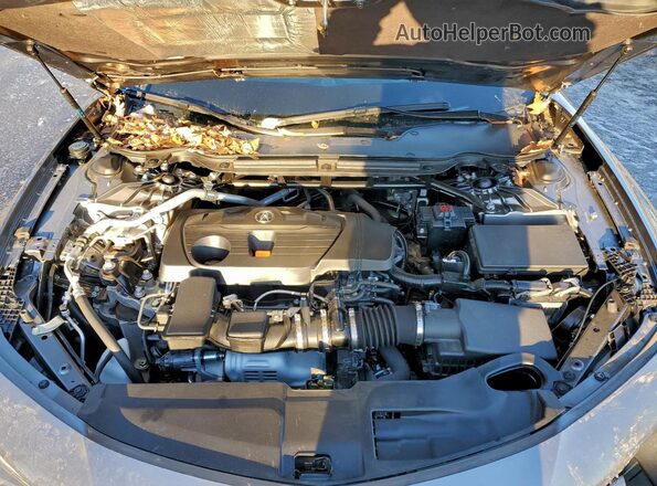 19UUB5F48SA000331 2025 ACURA TLX Серый Вид задней части салона