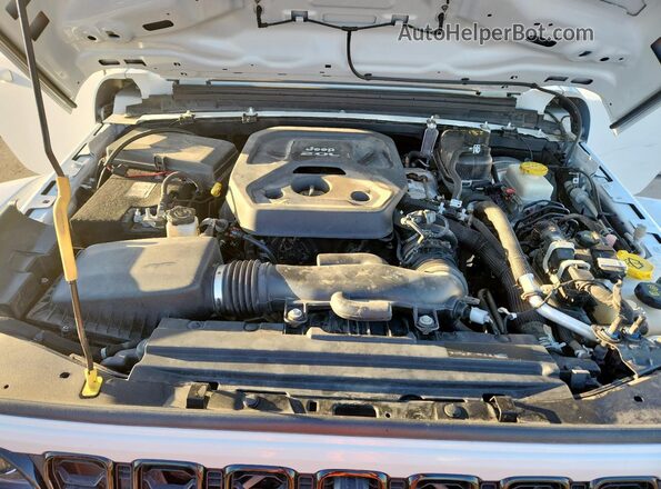 1C4HJXDN9KW555544 2019 JEEP WRANGLER White 
