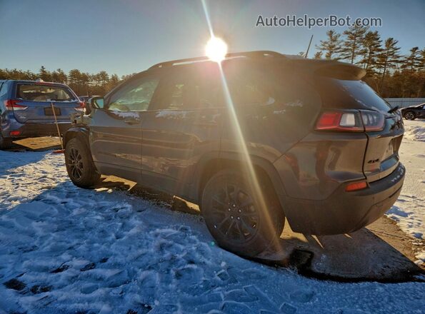 1C4PJMMB0PD109673 2023 JEEP CHEROKEE Серый Задняя левая четверть