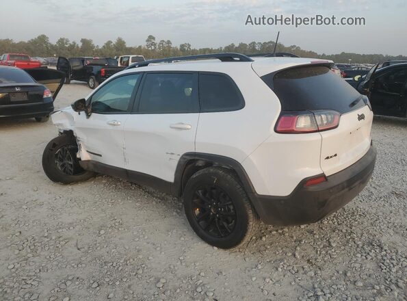 1C4PJMMB8PD111090 2023 JEEP CHEROKEE White Հետևի ձախ